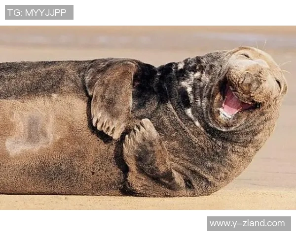 足球明星奔跑时的搞笑表情包合集让你捧腹大笑的瞬间分享