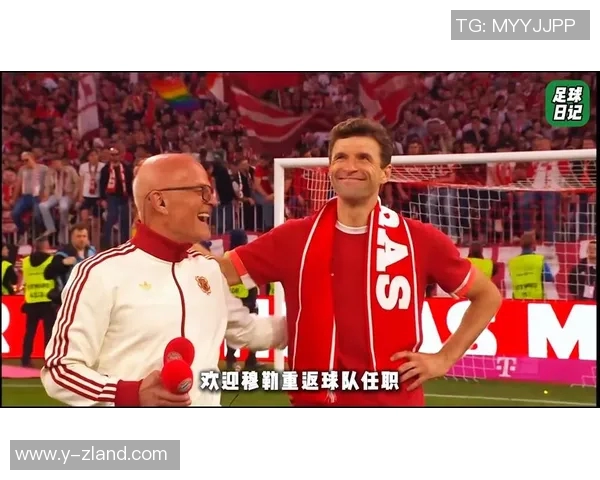 退役后足球明星的生活与转型探索揭秘