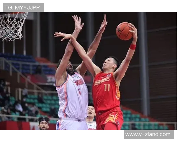 沈梓捷：从青年才俊到篮球明星的成长之路与未来展望